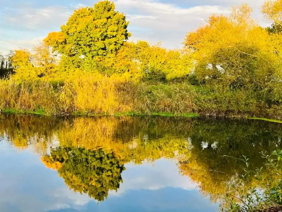 fb img 1666066123273