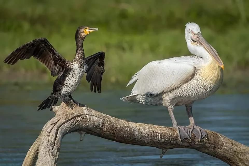 fb img 1674173098265