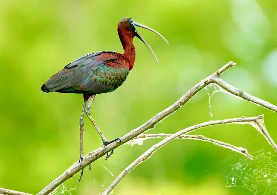 fb img 1687186583631