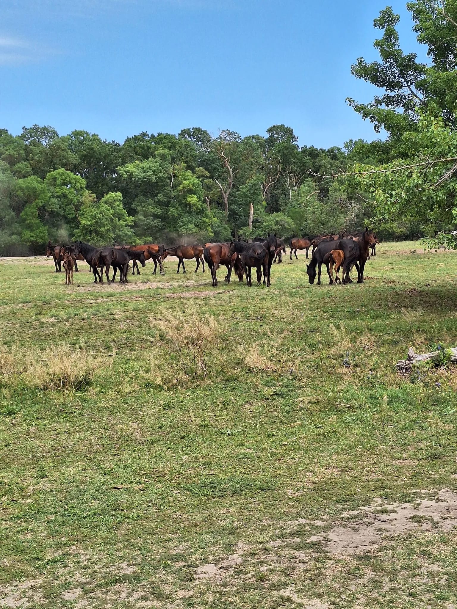 Excursia de 3 zile în Delta Dunării – Ambarcațiuni lente (Catamaran)