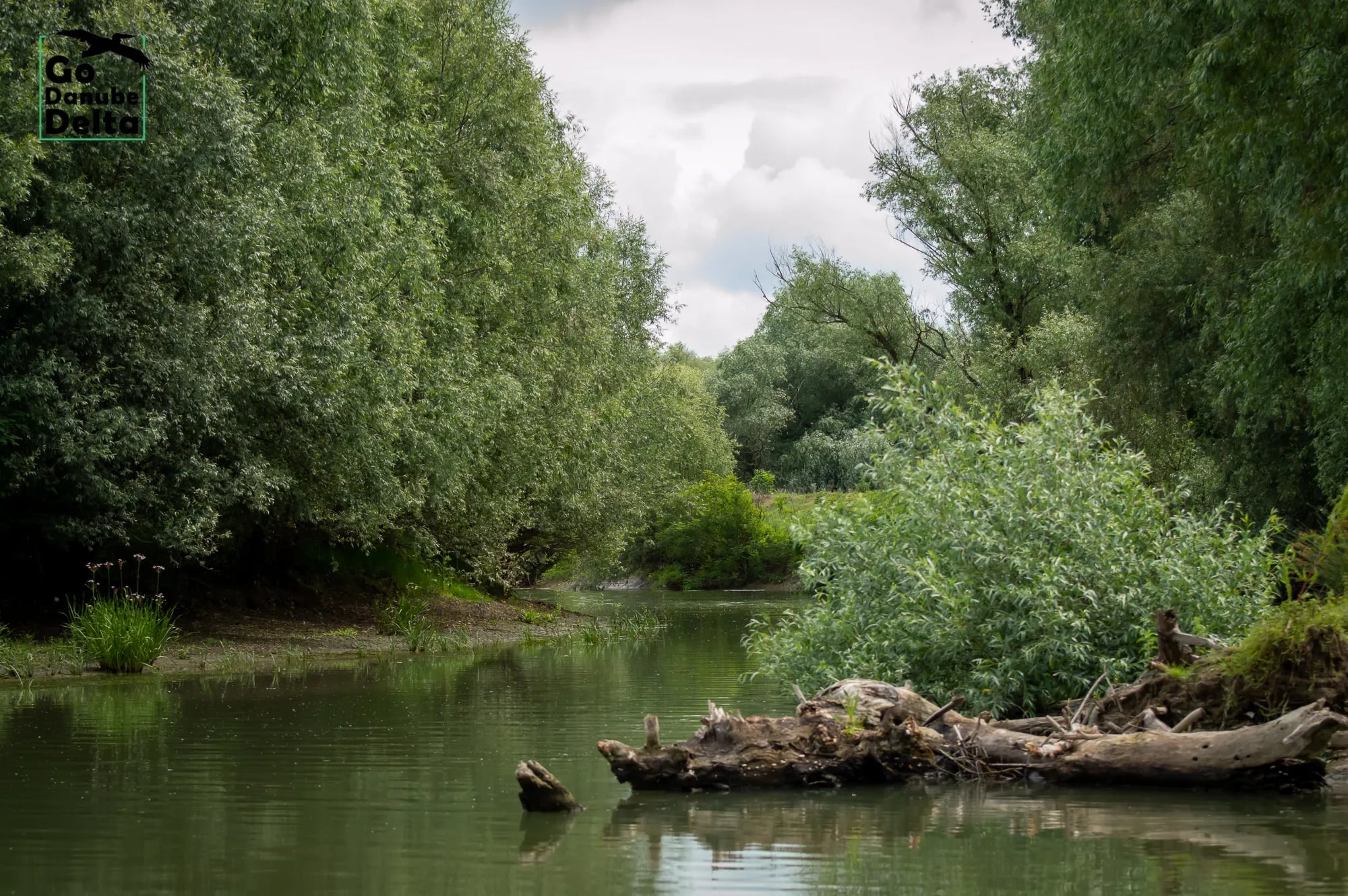Excursie cu barca în Delta Dunării — canale și stufărișuri