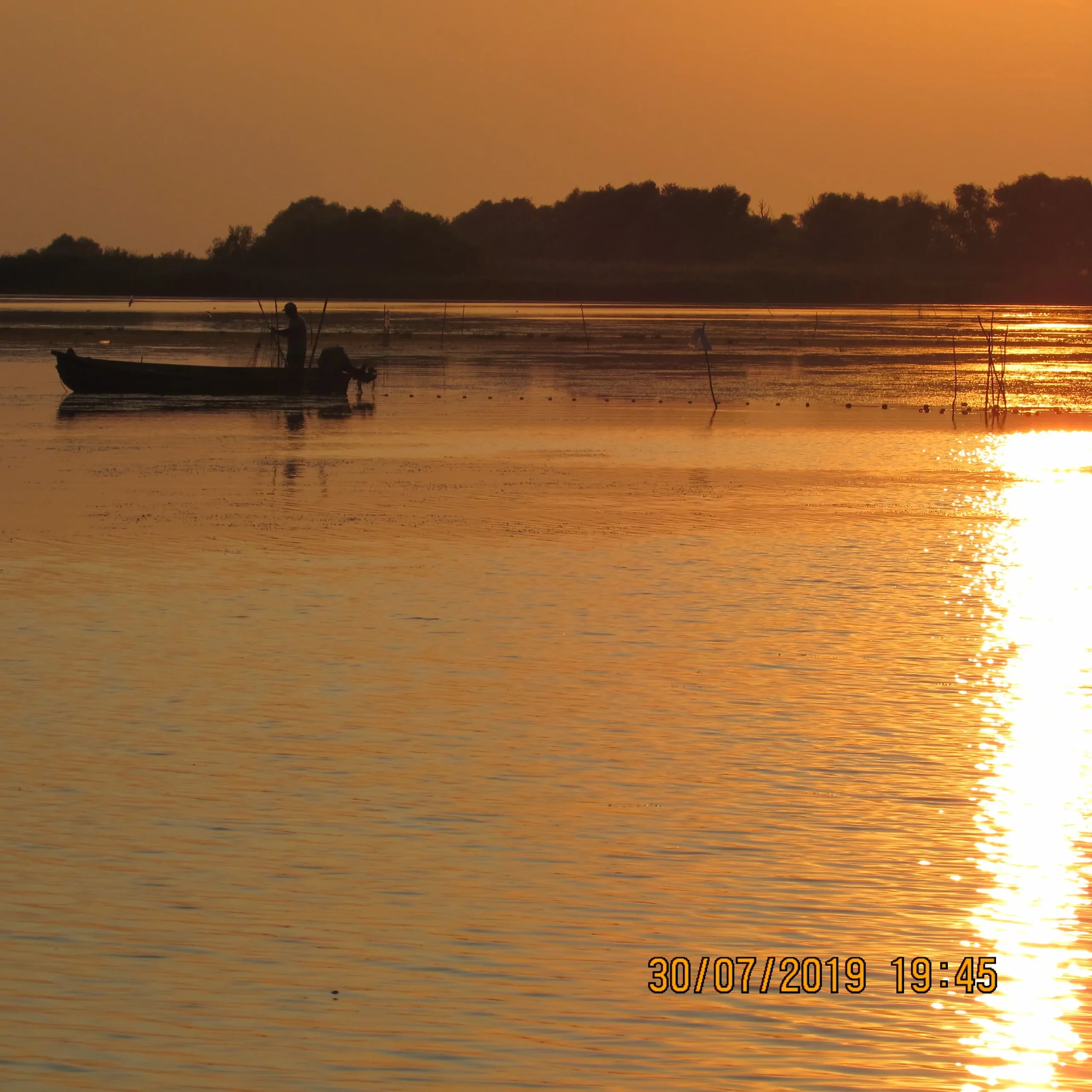 Excursie cu barca în Delta Dunării — canale și stufărișuri