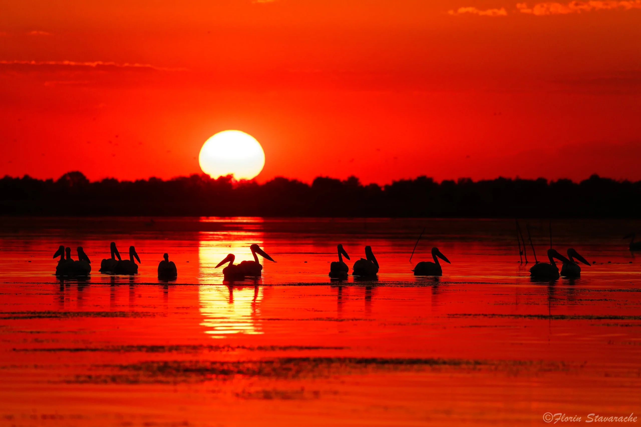 Delta Dunării — peisaj cu canale și natură