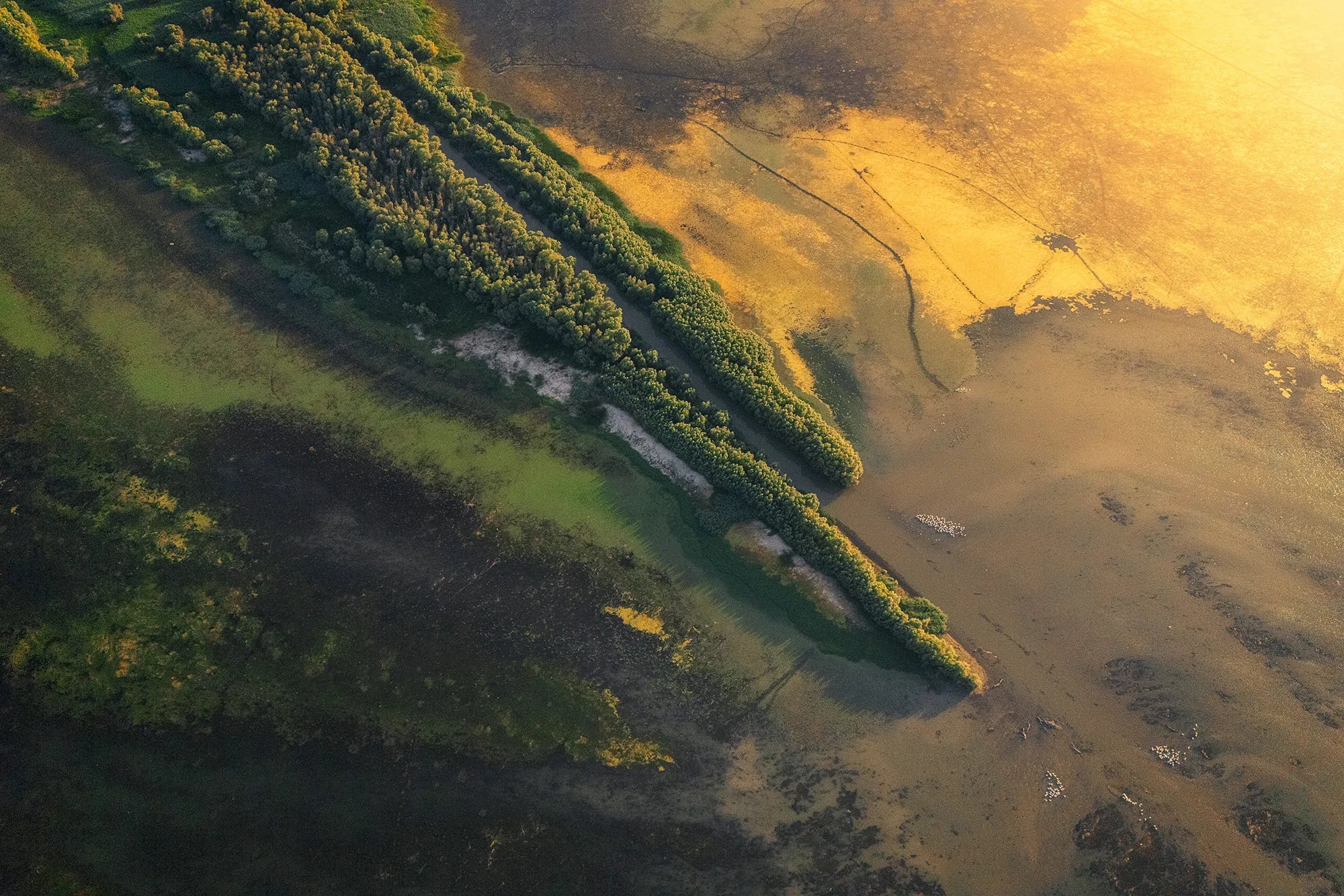 Peisaj aerian Delta Dunării — canale, stufărișuri și lacuri