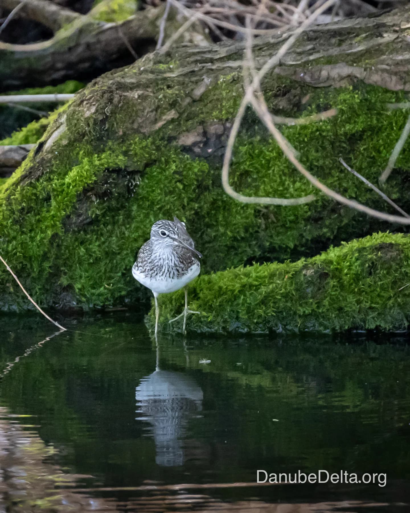 Excursia de 2 zile in Delta Dunarii cu catamaranul