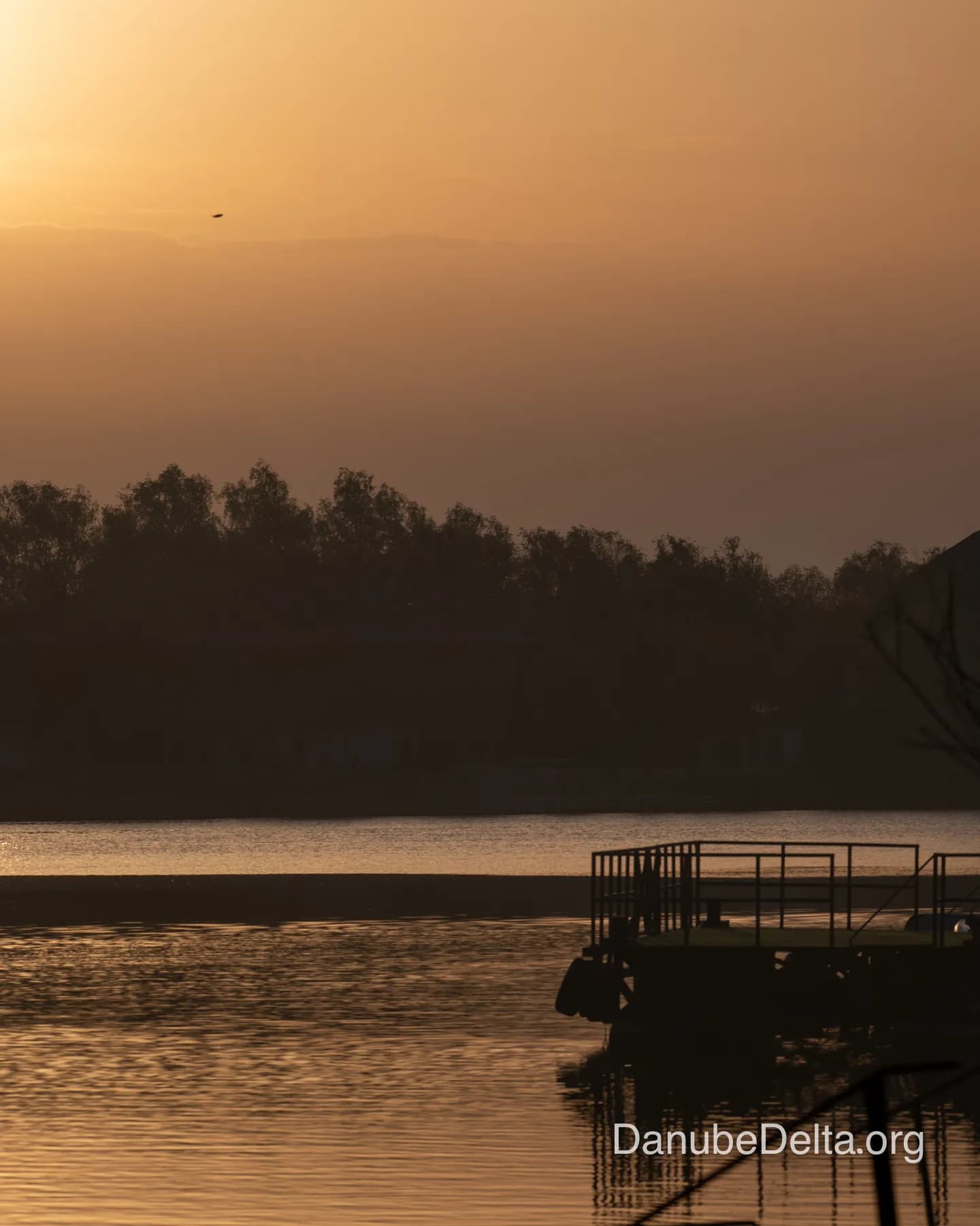 Excursia de 2 zile in Delta Dunarii cu catamaranul