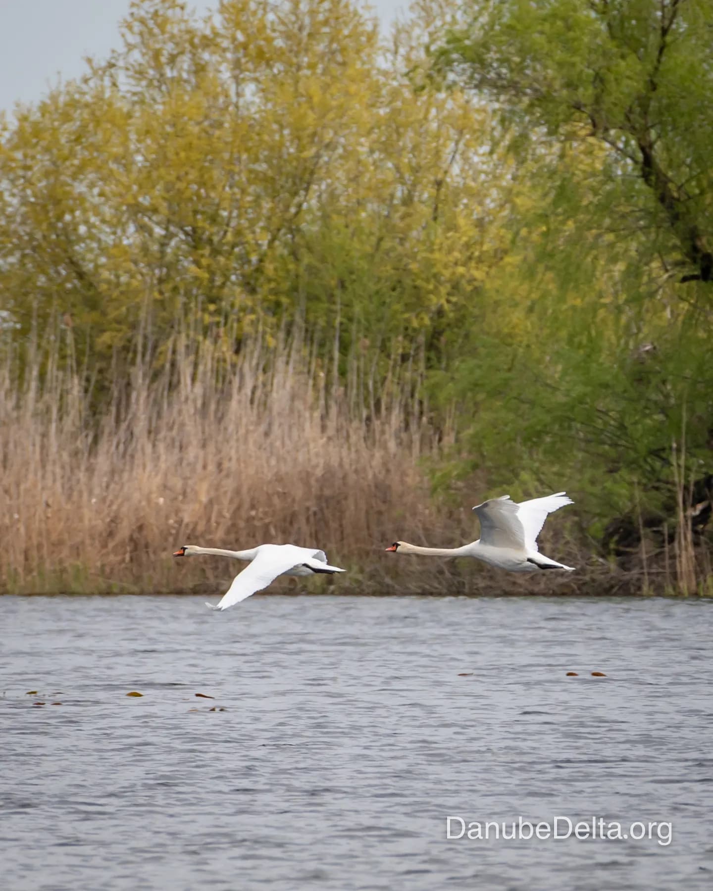 De departe în topul preferintelor iubitorilor de natura, excursia de 6-7 ore