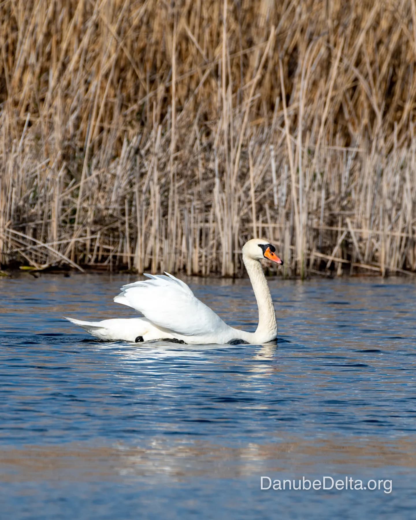 De departe în topul preferintelor iubitorilor de natura, excursia de 6-7 ore