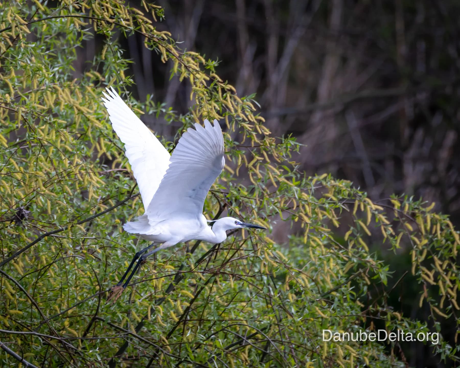 De departe în topul preferintelor iubitorilor de natura, excursia de 6-7 ore