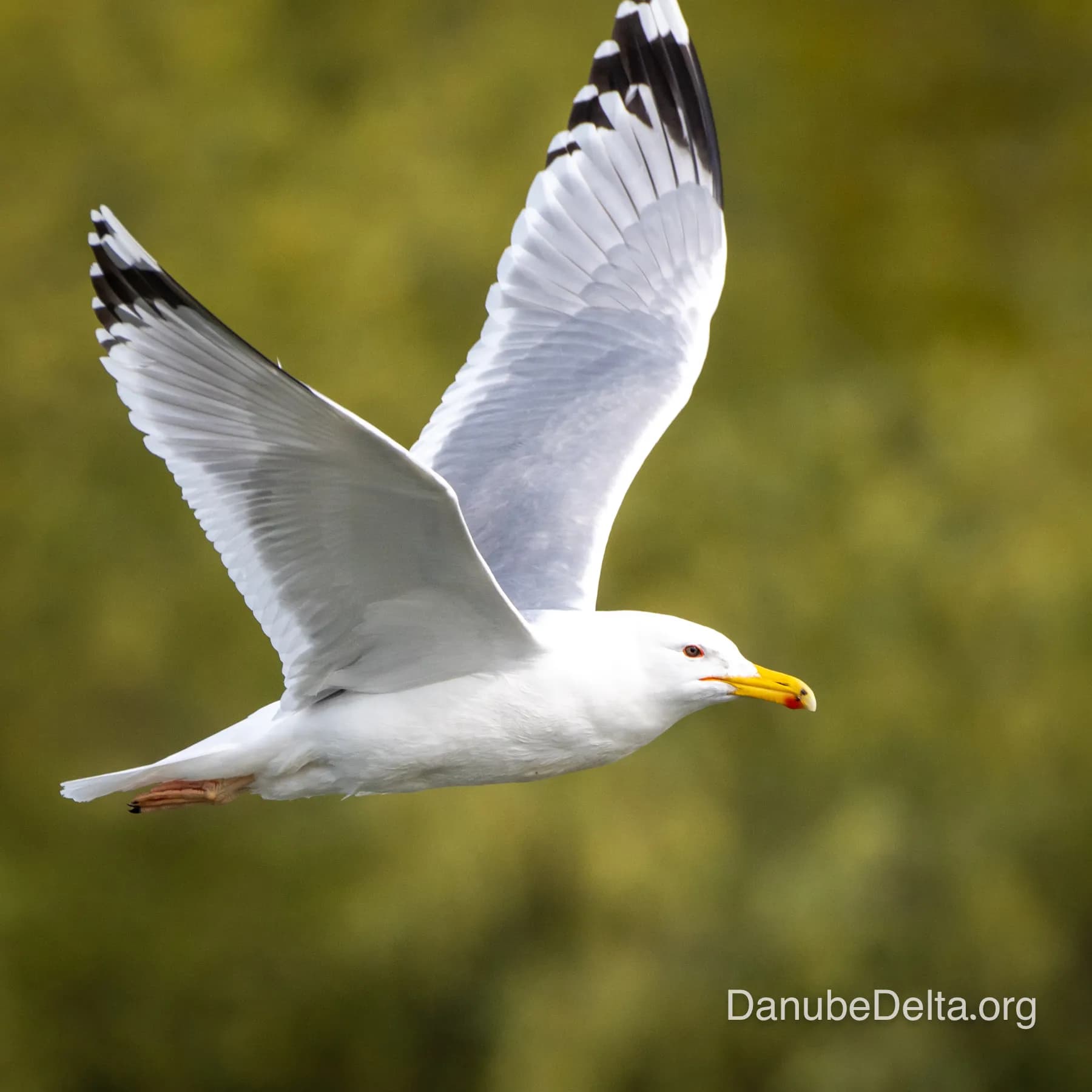 De departe în topul preferintelor iubitorilor de natura, excursia de 6-7 ore