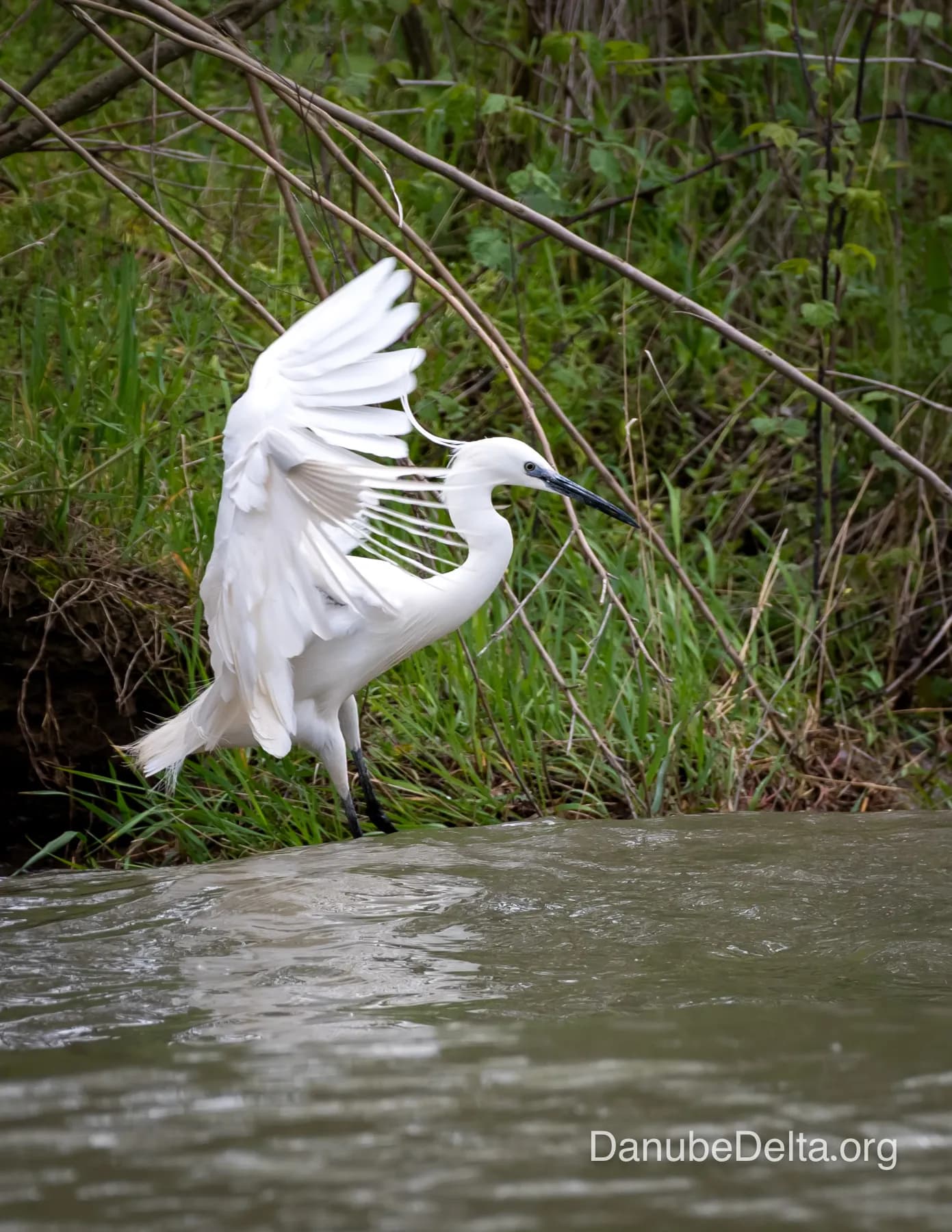 Un tur complet spre inima Deltei – satul pescaresc Mila 23… pentru cunoscătorii gourmet! – 8-9 ore