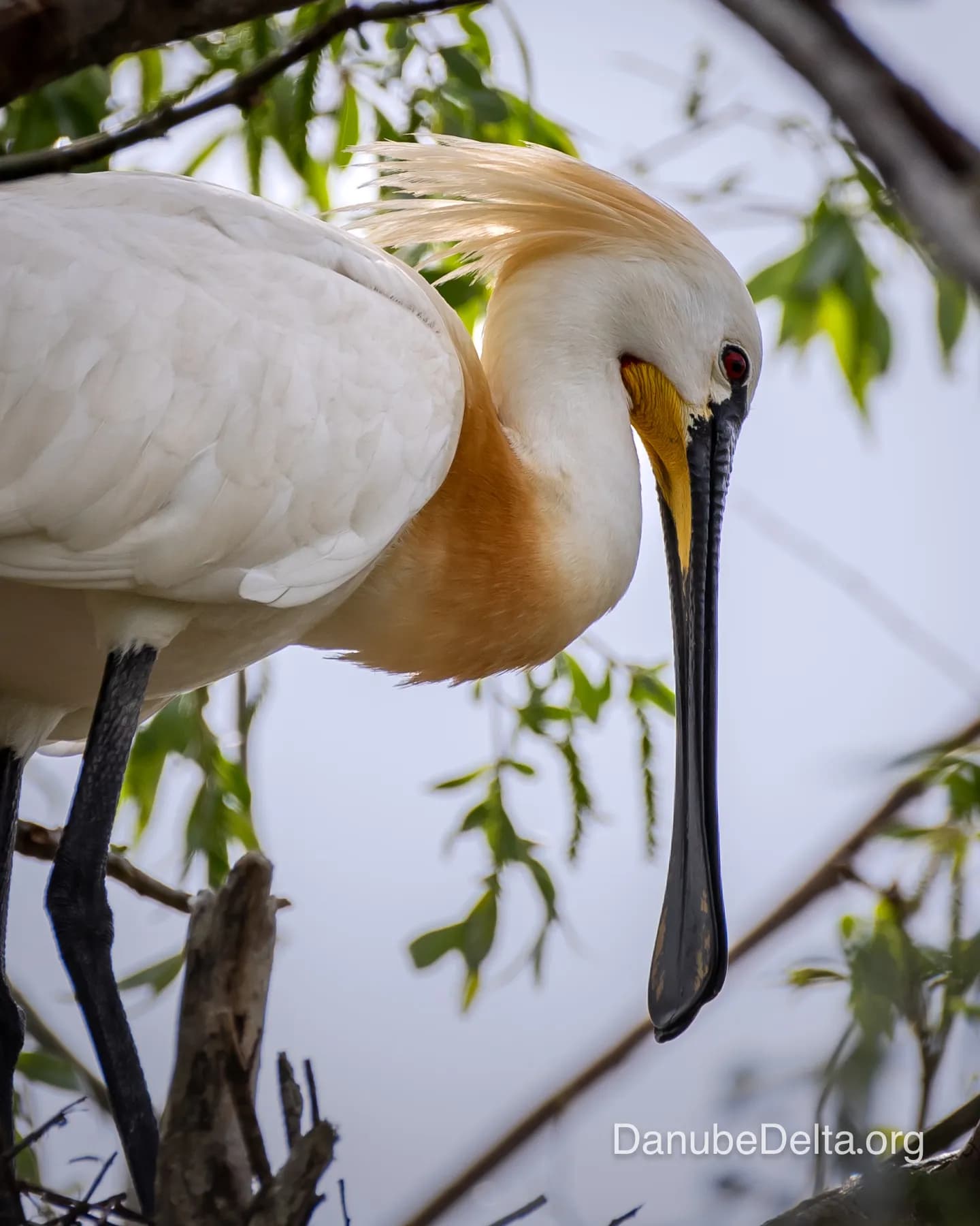 Excursie relaxanta în zona salbei de lacuri din Sireasa de Nord – 3-4 ore