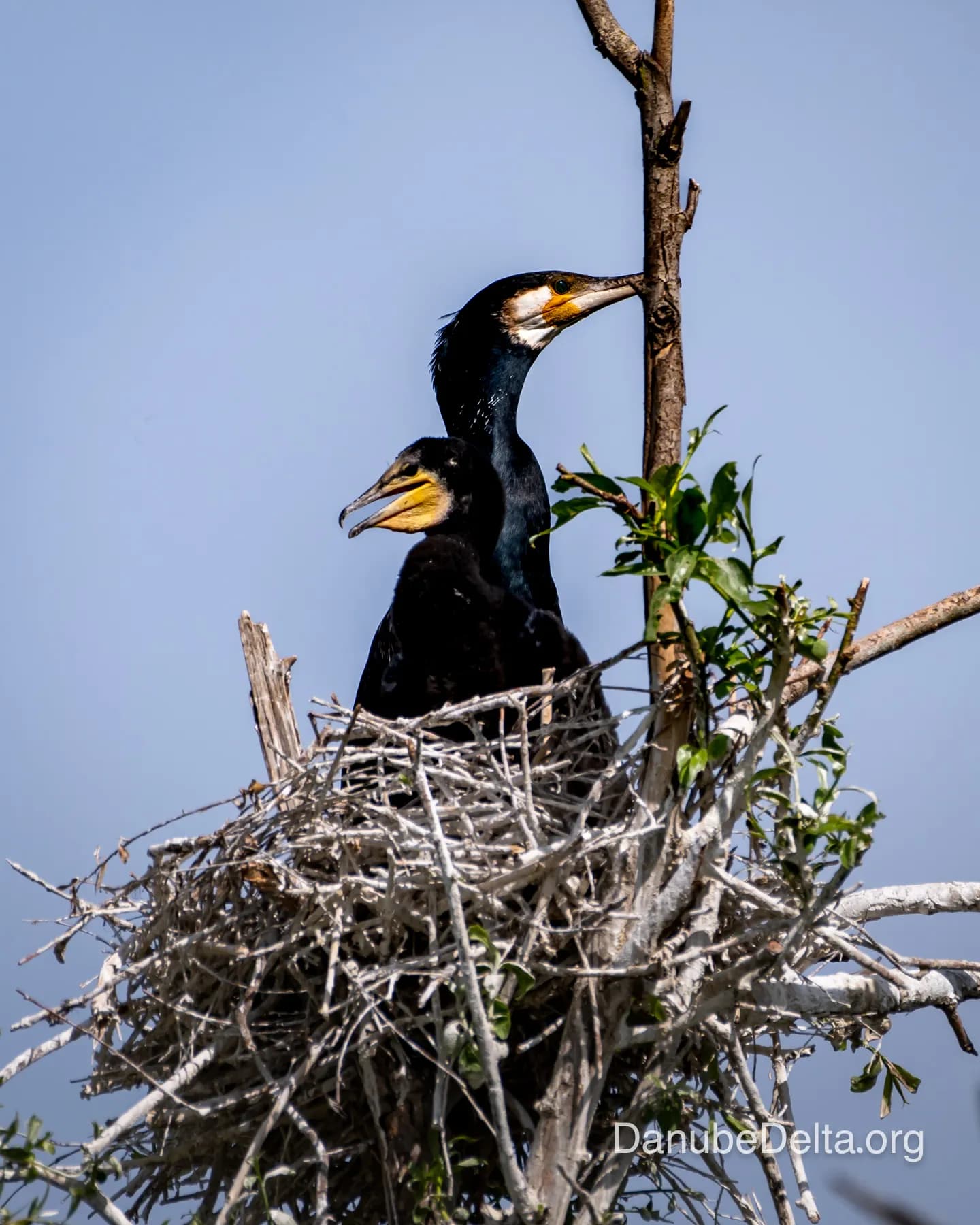 Excursie relaxanta în zona salbei de lacuri din Sireasa de Nord – 3-4 ore