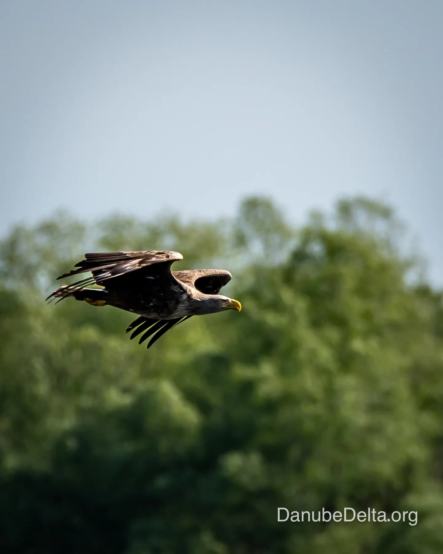 Excursie relaxanta în zona salbei de lacuri din Sireasa de Nord – 3-4 ore