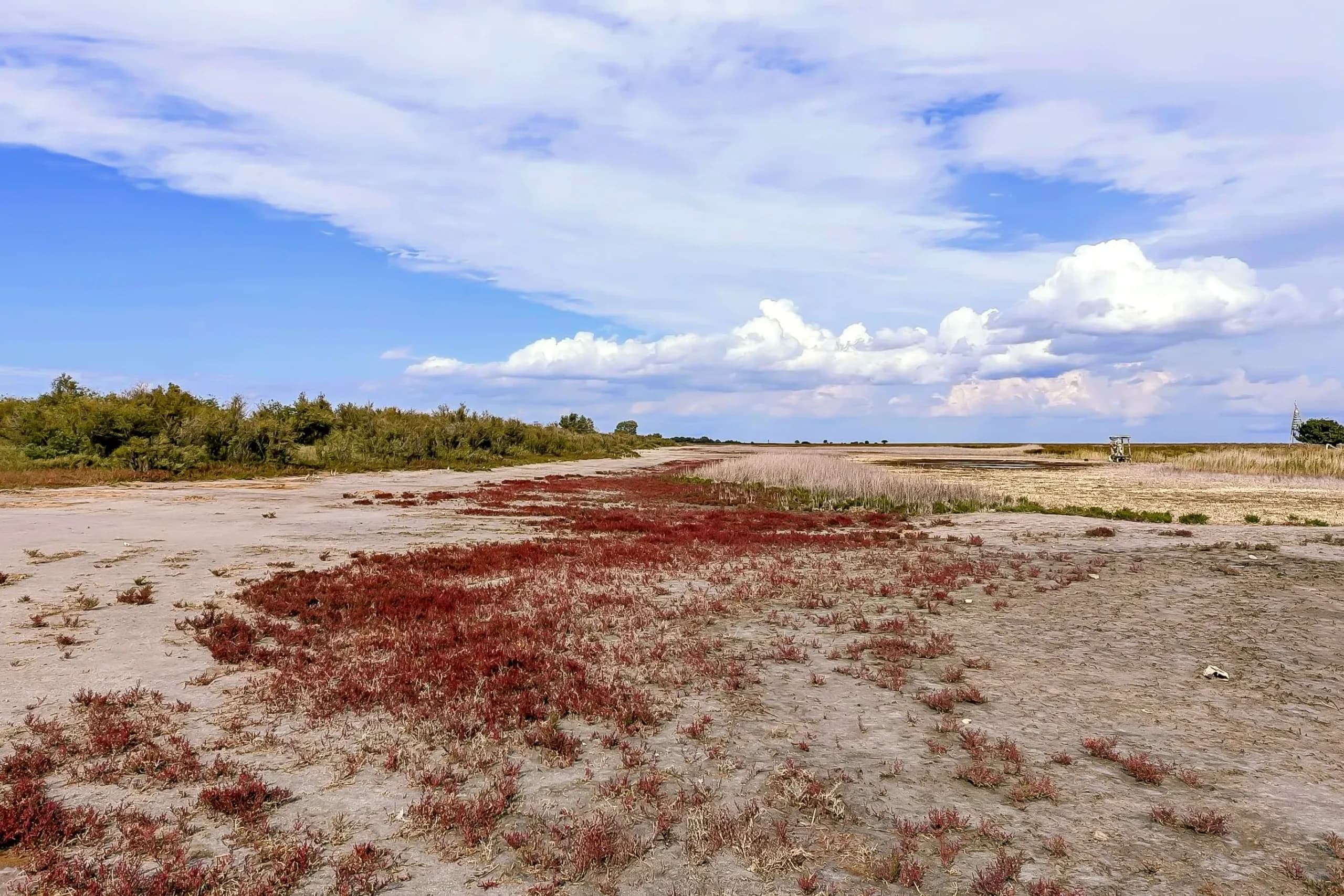 complexul periteașca leahova