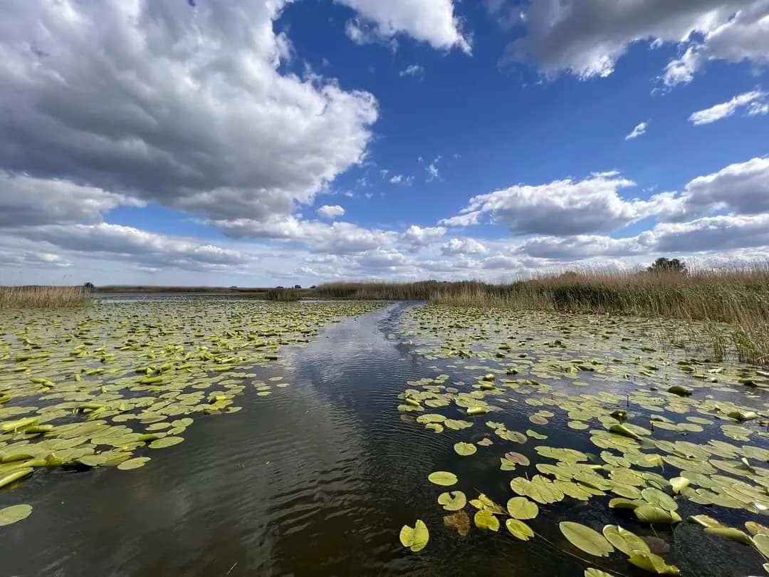 fb img 1665226430638