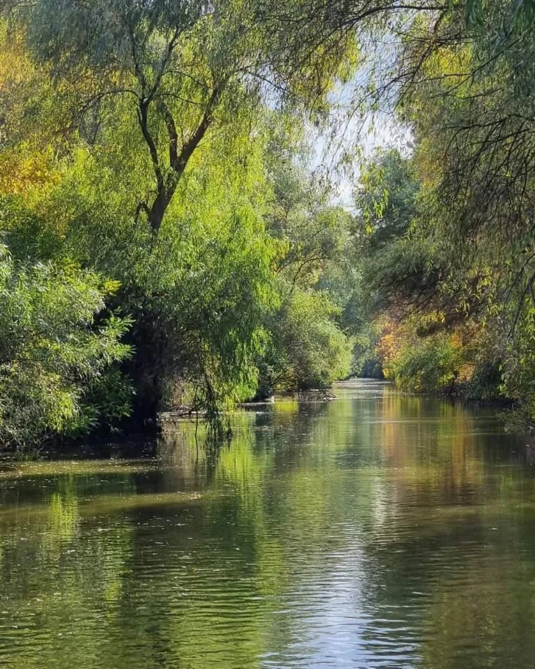 fb img 1666808335750