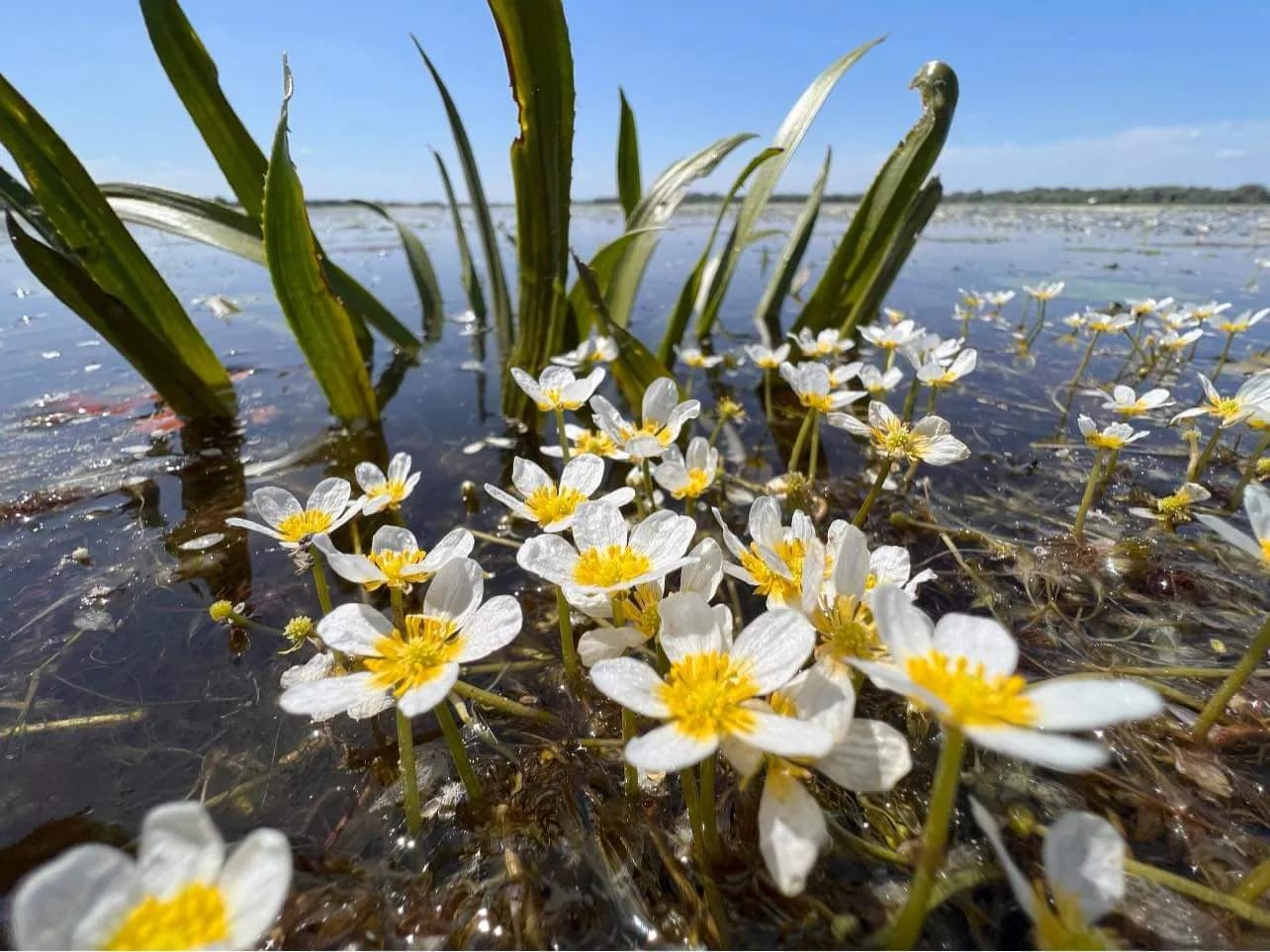 fb img 1686232089016