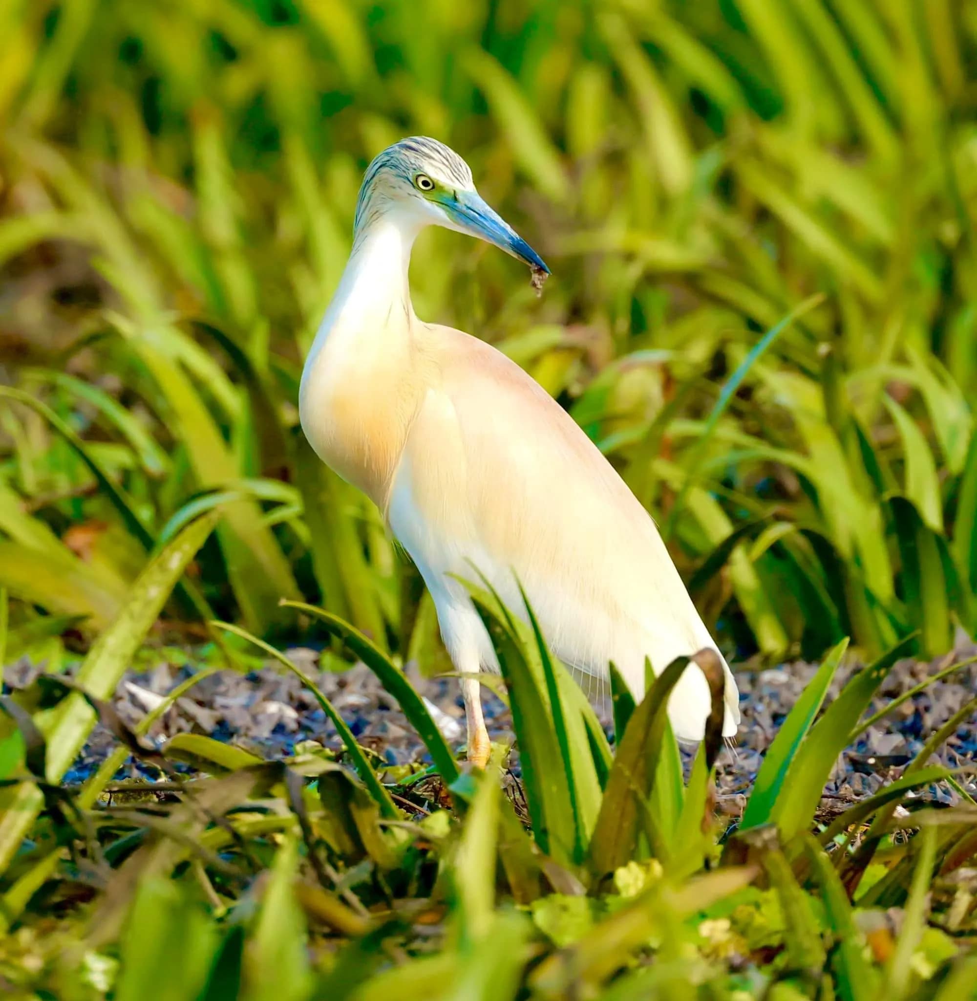 fb img 1687186595480