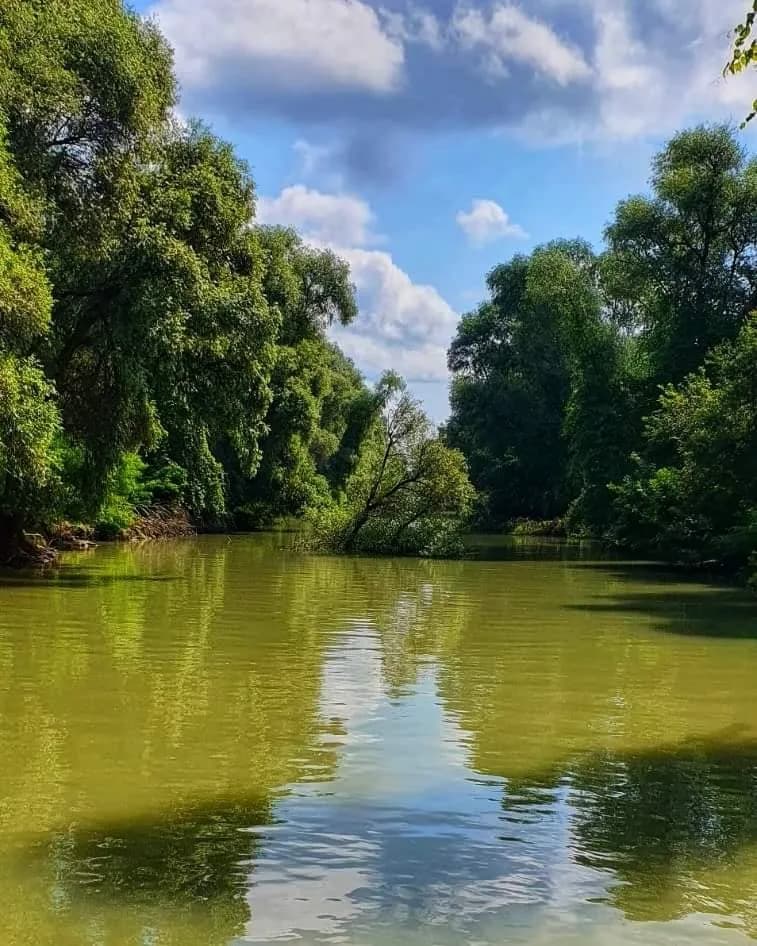 fb img 1691337659910