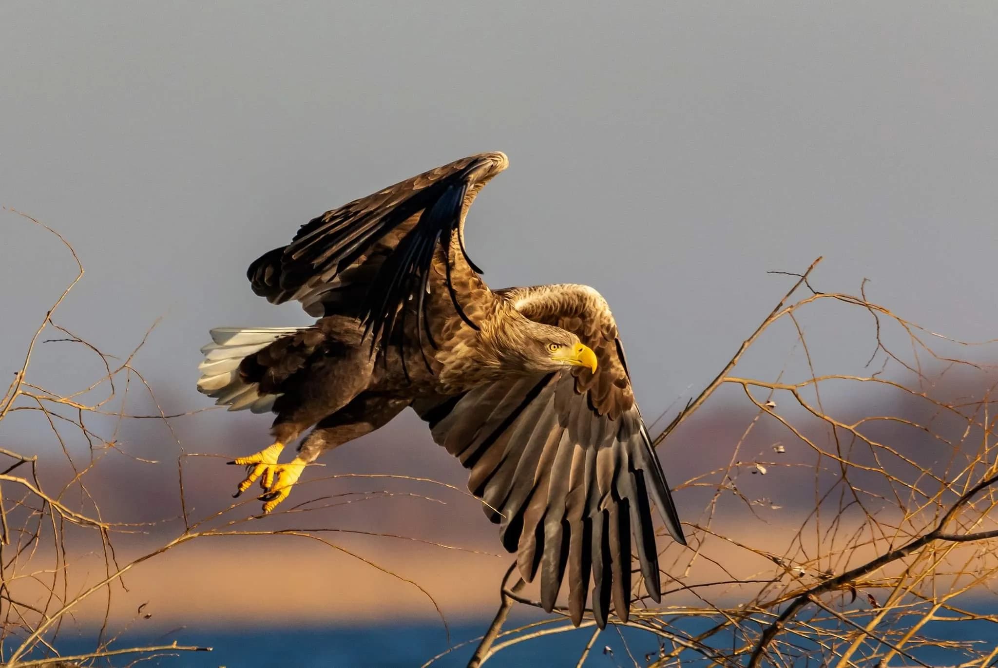 fb img 1703105432598