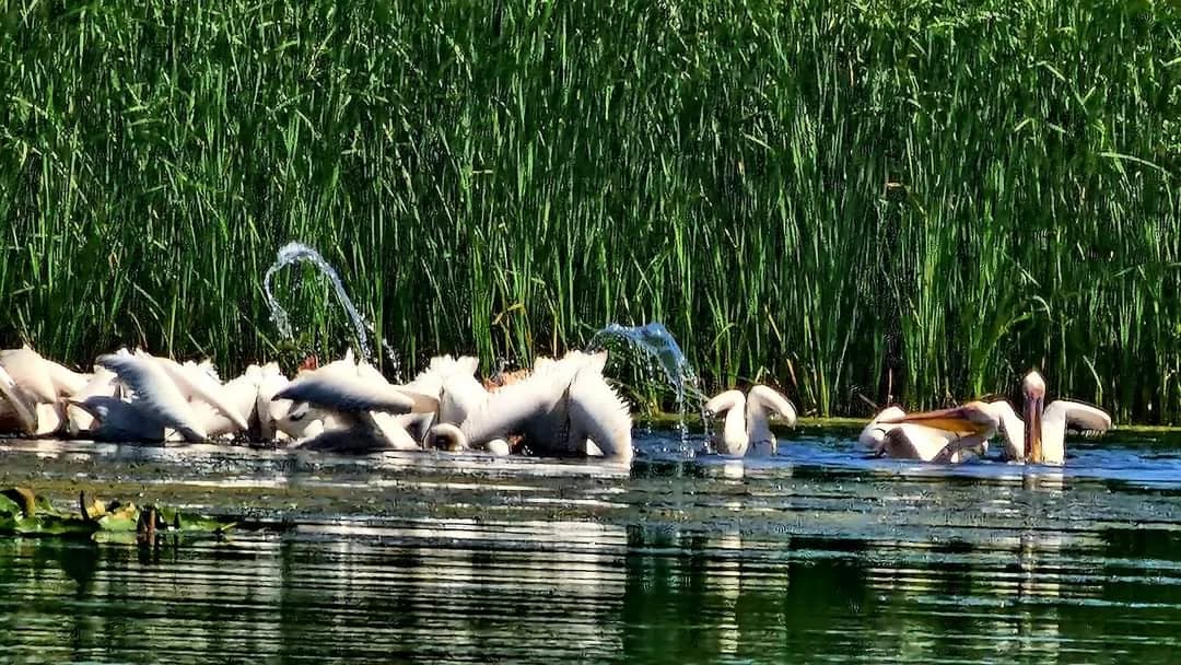 fb img 1720541555952