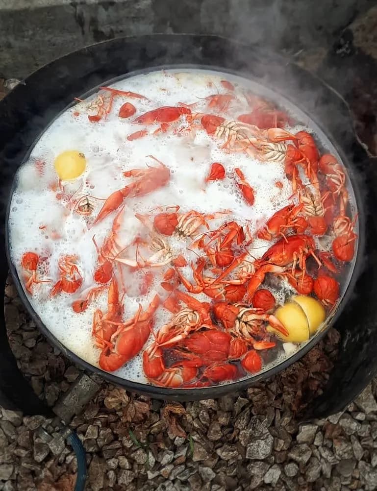 casa din delta murighiol 4