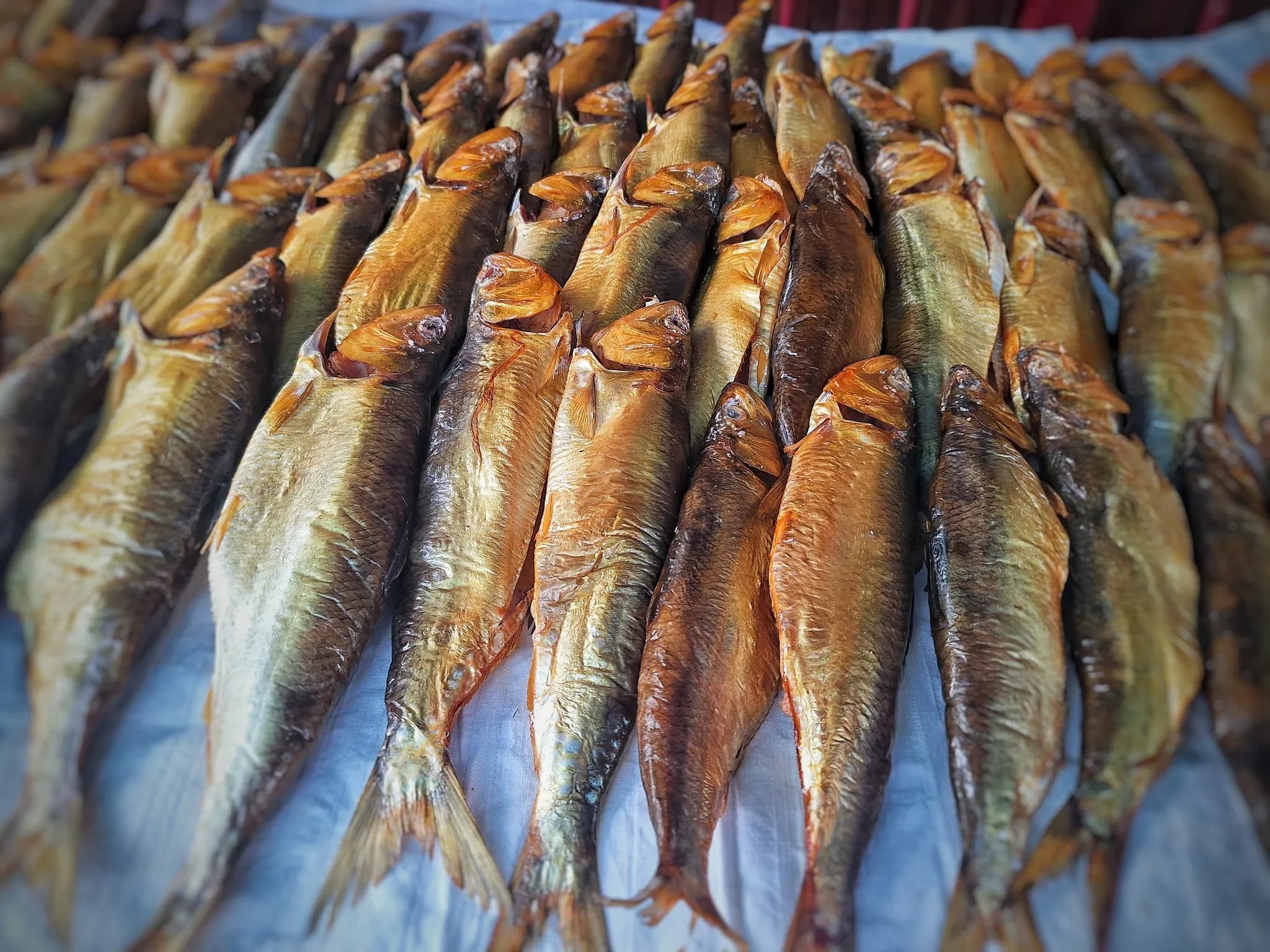 casa din delta murighiol 5