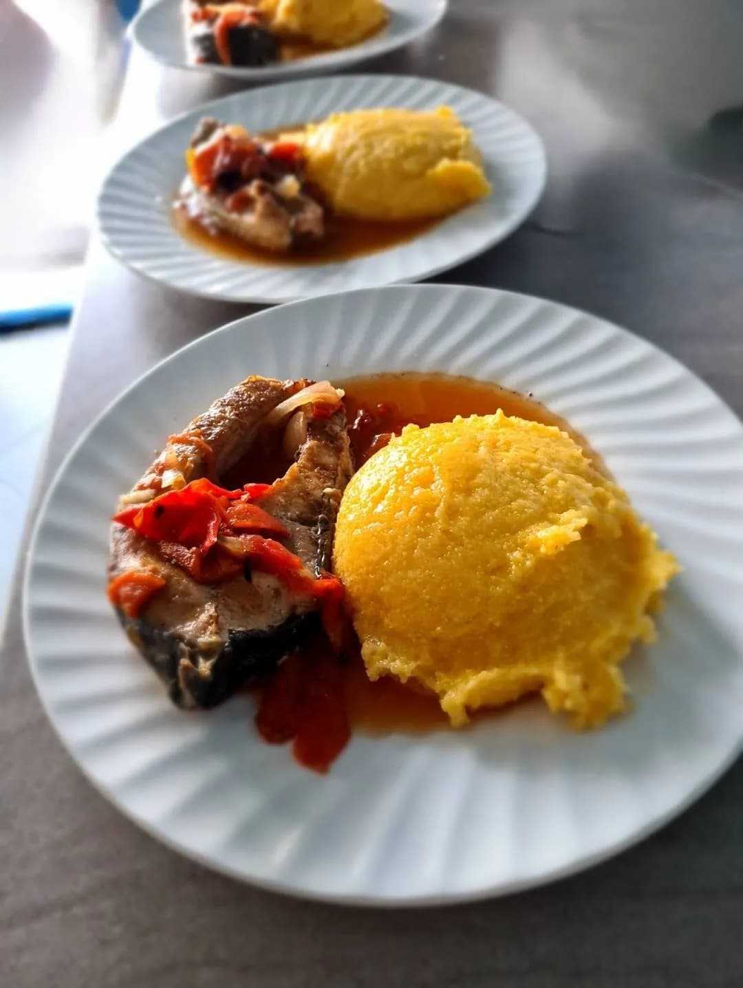 paradisul verde jurilovca 11